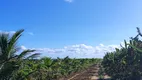 Foto 6 de Fazenda/Sítio com 2 Quartos à venda, 50m² em Zona Rural, Touros