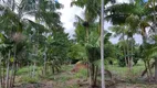 Foto 18 de Fazenda/Sítio à venda, 600000m² em , Rio do Fogo