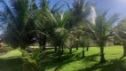 Foto 6 de Fazenda/Sítio com 3 Quartos à venda, 250m² em Zona Rural, Santo Antônio de Goiás