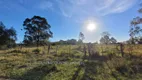 Foto 66 de Fazenda/Sítio com 4 Quartos à venda, 70000m² em Guaíba Country Club, Eldorado do Sul