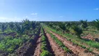 Foto 4 de Fazenda/Sítio com 2 Quartos à venda, 50m² em Zona Rural, Touros