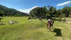 Foto 6 de Fazenda/Sítio à venda, 55000m² em Tiroleses, Timbó