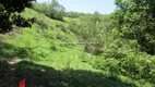 Foto 19 de Fazenda/Sítio com 2 Quartos à venda, 30000m² em Papucaia, Cachoeiras de Macacu