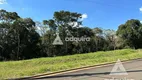 Foto 15 de Lote/Terreno à venda, 10m² em Colonia Dona Luiza, Ponta Grossa