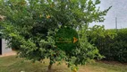 Foto 11 de Fazenda/Sítio com 3 Quartos à venda, 2m² em Zona Rural, Santo Antônio de Goiás