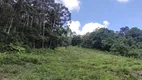 Foto 19 de Fazenda/Sítio à venda, 84900m² em Zona Rural, Delfim Moreira