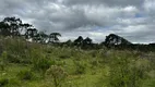 Foto 13 de Fazenda/Sítio à venda, 20000m² em Urubici, Urubici