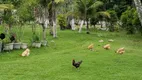 Foto 6 de Fazenda/Sítio com 4 Quartos à venda, 850m² em Guaratiba, Rio de Janeiro