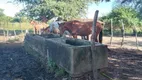 Foto 3 de Fazenda/Sítio com 3 Quartos à venda, 49000m² em Centro, São Gonçalo do Amarante