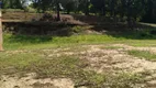 Foto 19 de Fazenda/Sítio com 3 Quartos à venda, 225m² em , Elias Fausto