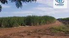 Foto 4 de Fazenda/Sítio à venda, 500m² em Zona Rural, Vargem Grande do Sul