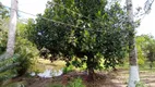 Foto 20 de Fazenda/Sítio com 2 Quartos à venda, 200m² em Rio Preto, Itanhaém