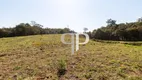 Foto 27 de Lote/Terreno à venda, 5000m² em São Sebastiao, São José dos Pinhais