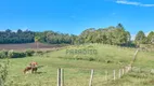 Foto 25 de Fazenda/Sítio à venda, 10000m² em Centro, Campo Magro