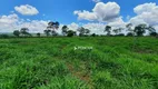 Foto 10 de Fazenda/Sítio à venda, 10160000m² em Centro, Alto Garças