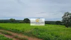 Foto 16 de Fazenda/Sítio com 10 Quartos à venda, 800m² em Vila Cearense, Araguaína