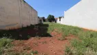 Foto 2 de Lote/Terreno para alugar, 347m² em Jardim Santa Helena, Maringá