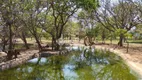 Foto 15 de Fazenda/Sítio com 4 Quartos à venda, 20000m² em Mansorur, Uberlândia