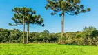 Foto 7 de Fazenda/Sítio à venda, 70000m² em Zona Rural, Três Coroas