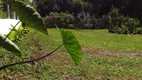 Foto 12 de Fazenda/Sítio com 2 Quartos à venda, 6000m² em Campo Largo da Roseira, São José dos Pinhais