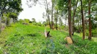 Foto 2 de Fazenda/Sítio à venda, 10000m² em Dona Catarina, Mairinque