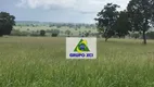 Foto 14 de Fazenda/Sítio à venda, 2060000m² em , Pontal do Araguaia