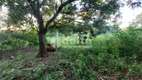 Foto 11 de Fazenda/Sítio à venda, 20000m² em Area Rural de Uberlandia, Uberlândia