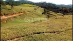 Foto 10 de Fazenda/Sítio com 5 Quartos à venda, 300m² em Rocinha, Guaratinguetá