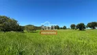 Foto 3 de Fazenda/Sítio com 3 Quartos à venda, 500m² em Zona Rural, Goiás