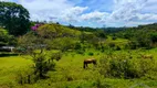 Foto 90 de Fazenda/Sítio com 19 Quartos à venda, 121000m² em Centro, Juquitiba