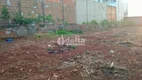 Foto 2 de Lote/Terreno à venda, 300m² em Santa Mônica, Uberlândia