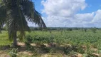 Foto 8 de Fazenda/Sítio à venda, 4500000m² em Zona Rural, Ielmo Marinho