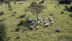 Foto 3 de Fazenda/Sítio com 8 Quartos à venda, 4300000m² em Centro, Pimenta Bueno