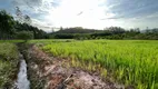 Foto 14 de Fazenda/Sítio com 1 Quarto à venda, 8m² em Oliveiras, Tijucas