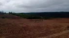 Foto 10 de Fazenda/Sítio à venda, 1210000m² em Zona Rural, Itatinga