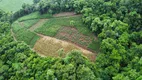 Foto 3 de Fazenda/Sítio à venda, 148000m² em Zona Rural, Bento Gonçalves