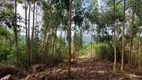 Foto 21 de Lote/Terreno à venda, 15000m² em Vila Germania, Nova Petrópolis