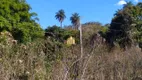 Foto 26 de Fazenda/Sítio com 3 Quartos à venda, 660000m² em Urucuia, Esmeraldas