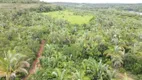 Foto 41 de Fazenda/Sítio à venda em Zona Rural , Chapada dos Guimarães