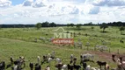 Foto 28 de Fazenda/Sítio à venda em Zona Rural, Araguapaz