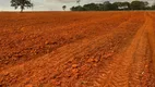 Foto 4 de Fazenda/Sítio com 1 Quarto à venda, 10m² em Zona Rural, Bela Vista de Goiás