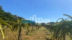 Foto 11 de Fazenda/Sítio com 3 Quartos à venda, 600m² em Zona Rural, Auriflama