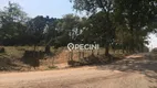 Foto 7 de Lote/Terreno à venda, 5986m² em Loteamento Fontes e Bosques Alam Grei, Rio Claro