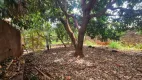 Foto 4 de Lote/Terreno para alugar, 330m² em Jardim Canadá, Ribeirão Preto