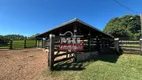 Foto 15 de Fazenda/Sítio com 3 Quartos à venda, 500m² em Zona Rural, Goiás