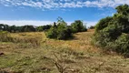 Foto 65 de Fazenda/Sítio com 3 Quartos à venda, 192000m² em Centro, Hidrolândia