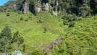 Foto 26 de Fazenda/Sítio à venda, 1303680m² em Centro, Bocaina do Sul