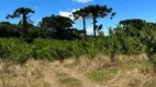 Foto 9 de Fazenda/Sítio com 1 Quarto à venda, 20000m² em Fazenda Souza, Caxias do Sul