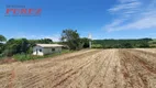 Foto 16 de Fazenda/Sítio com 1 Quarto à venda, 1210000m² em Zona Rural, Ibiporã