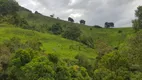 Foto 16 de Fazenda/Sítio com 1 Quarto à venda, 140000m² em Zona Rural, Delfim Moreira